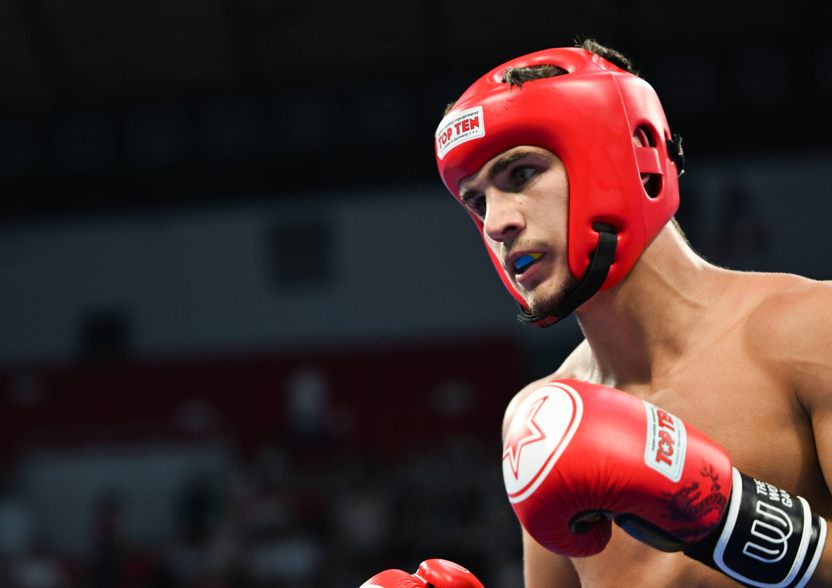 PG电子娱乐官网下载-马术场上，乌克兰骑手实力胜出