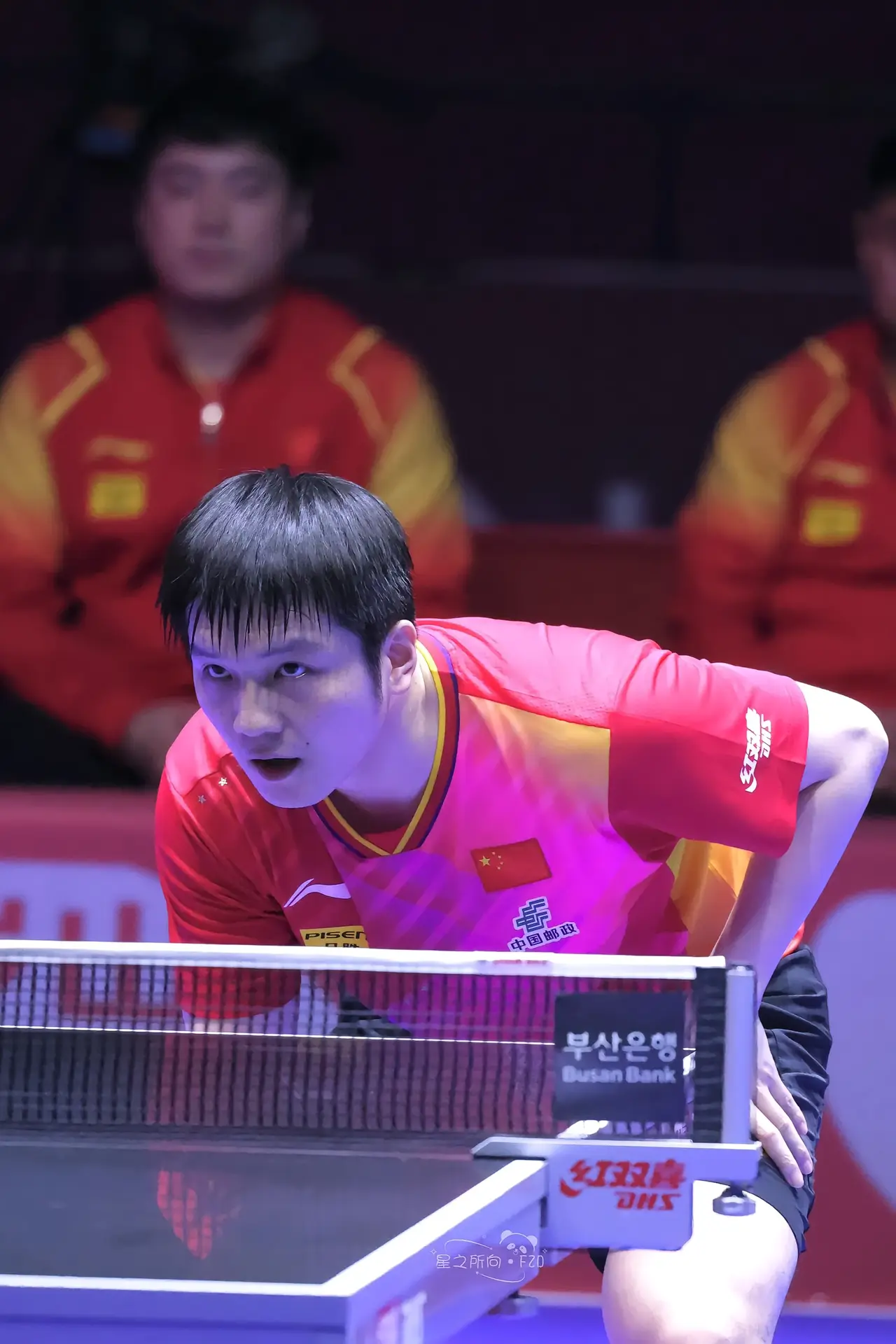 关于英国乒乓球队险胜奥地利乒乓球队,张继科爆发神勇的信息 关于英国乒乓球队险胜奥地利乒乓球队,张继科爆发神勇的信息